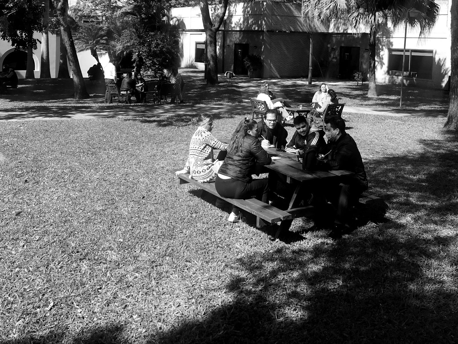Sesión de trabajo al aire libre